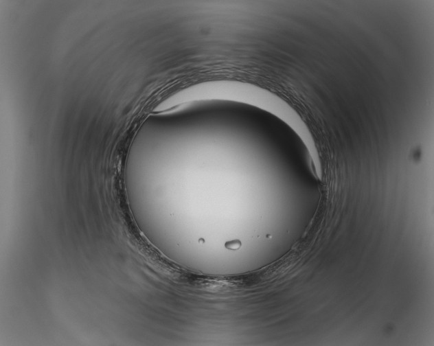 X0000115610229200912011558