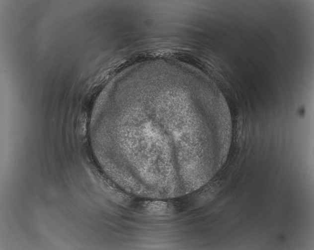 X0000115610230200912011558