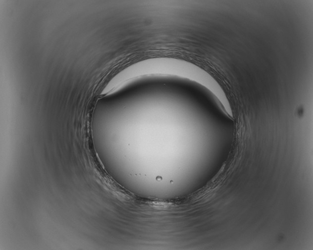 X0000115610233200912011558