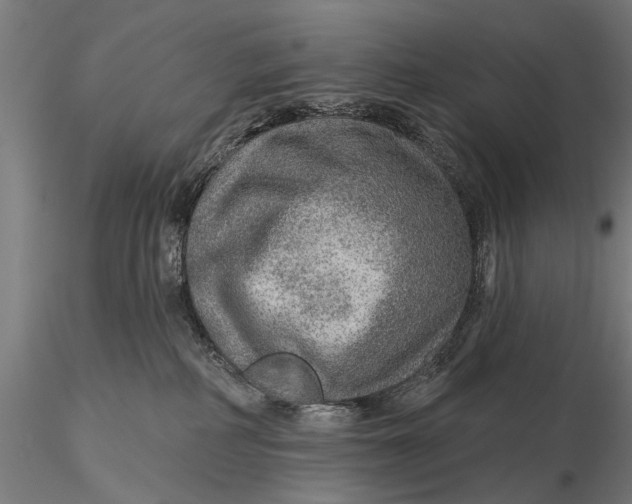 X0000115610234200912011558
