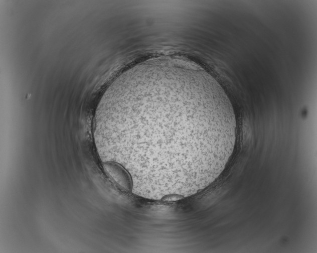 X0000115610236200912011558