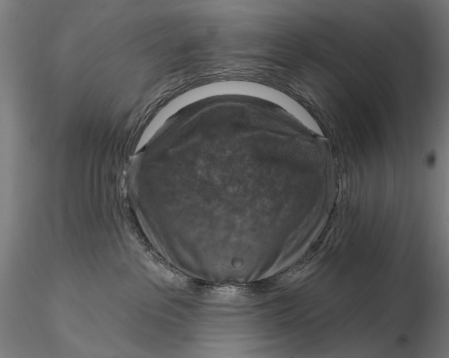 X0000115610237200912011558