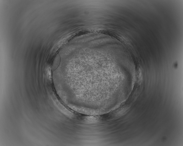 X0000115610238200912011558