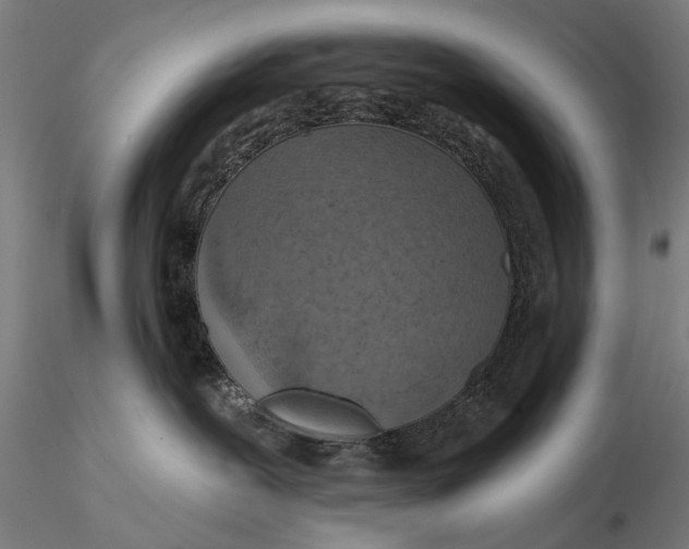 X0000115610239200912011558