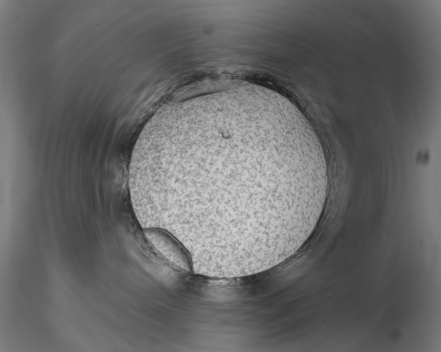 X0000115610240200912011558