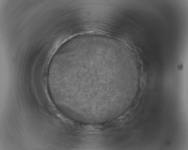 X0000115610241200912011557
