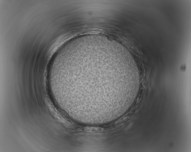 X0000115610242200912011557