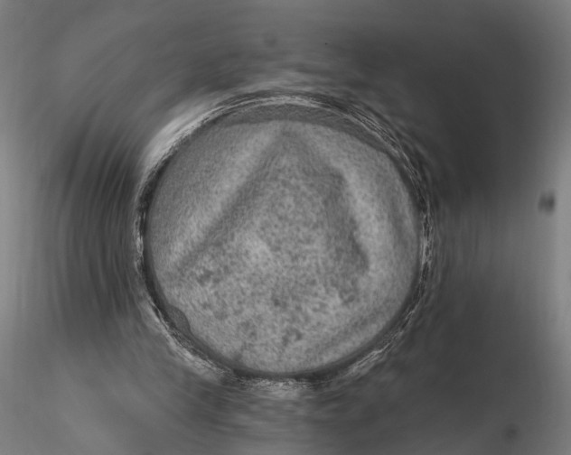 X0000115610245200912011557