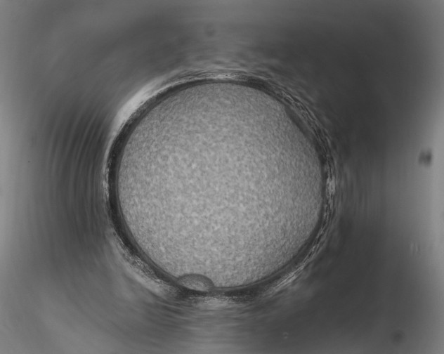 X0000115610246200912011557