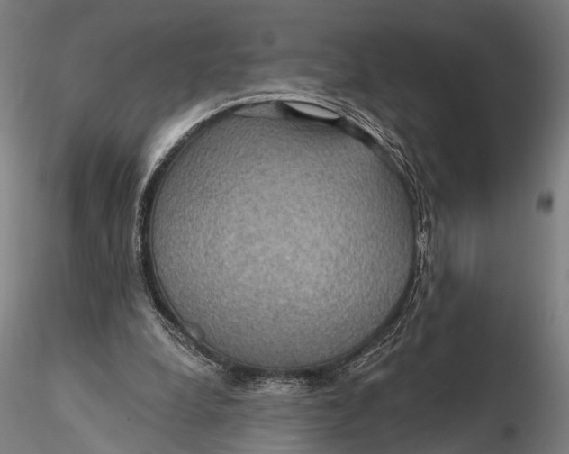 X0000115610248200912011557
