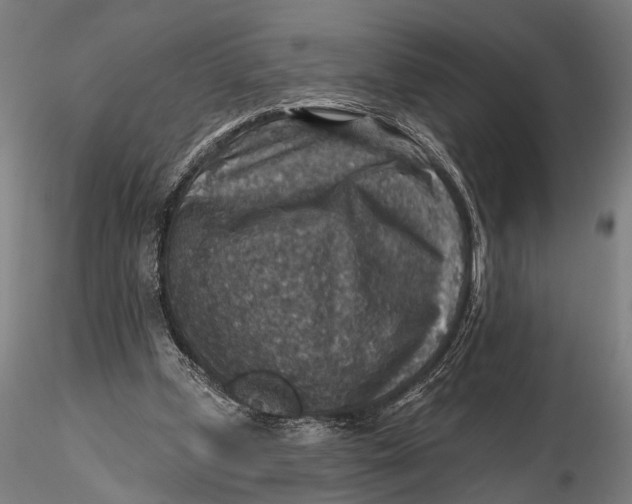 X0000115610249200912011557