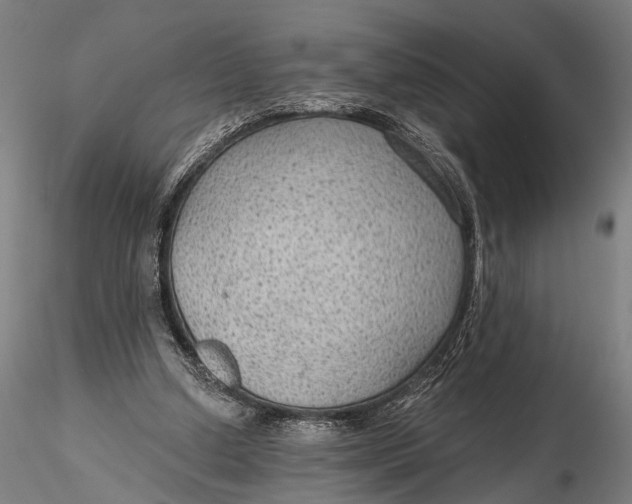X0000115610250200912011557