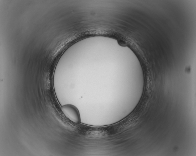 X0000115610251200912011557