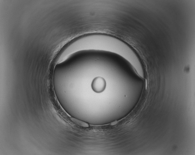 X0000115610252200912011557