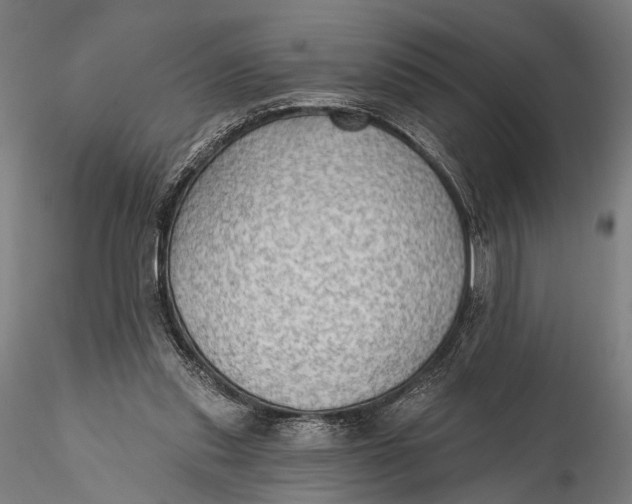 X0000115610253200912011558