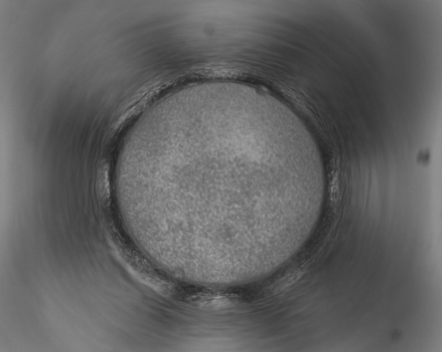 X0000115610254200912011558