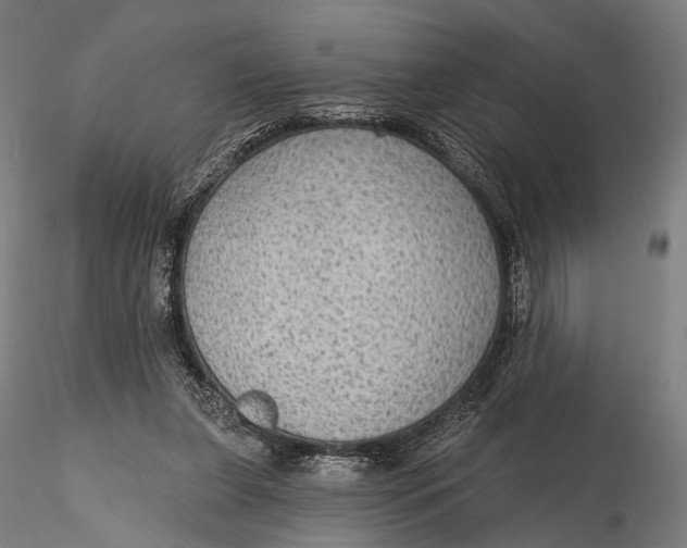 X0000115610255200912011558
