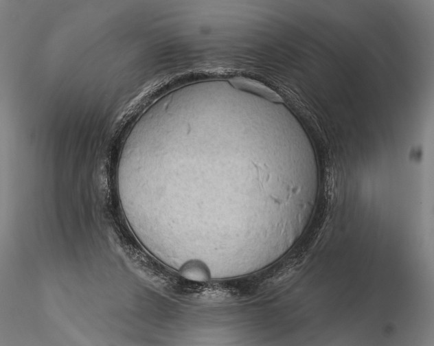 X0000115610256200912011558