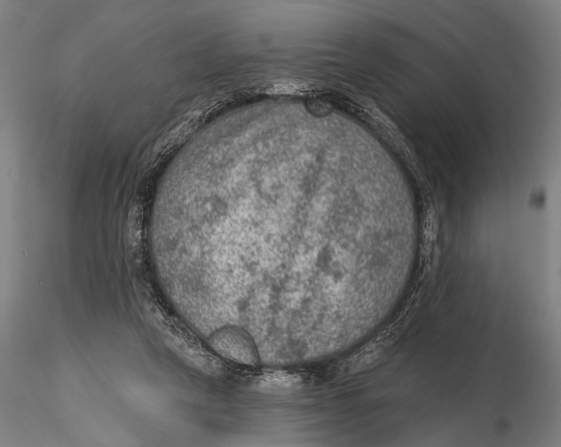 X0000115610257200912011558