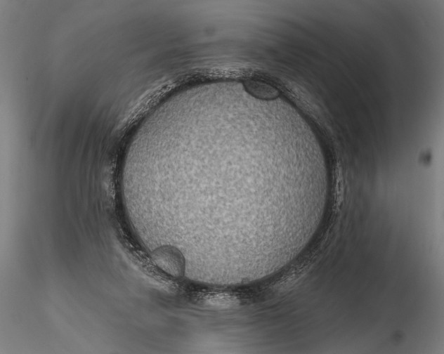 X0000115610258200912011558