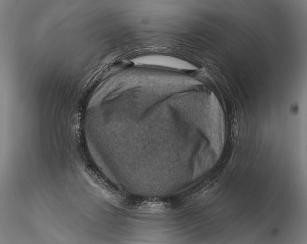 X0000115610260200912011558