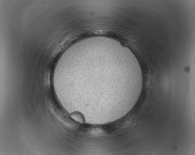 X0000115610262200912011558