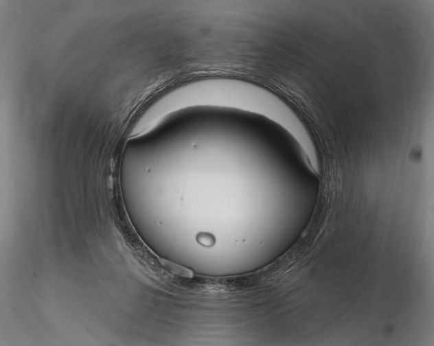 X0000115610264200912011558