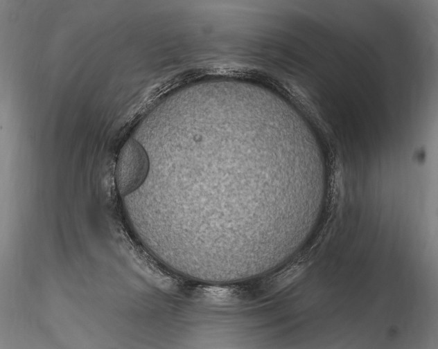 X0000115610265200912011558