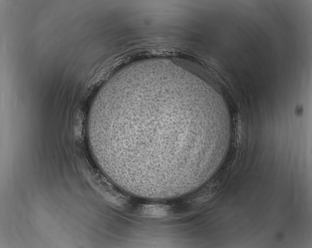 X0000115610266200912011558