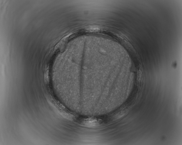 X0000115610267200912011558