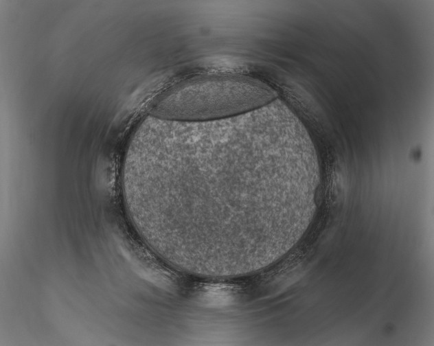 X0000115610268200912011558