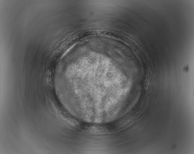 X0000115610270200912011558