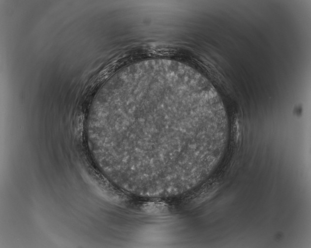 X0000115610271200912011558