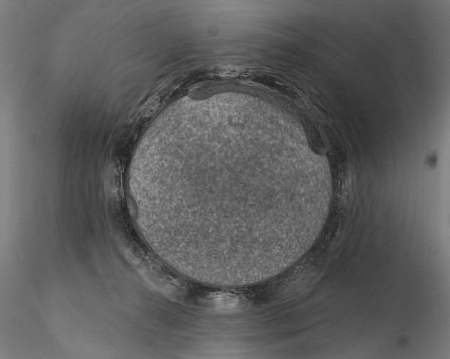 X0000115610272200912011558