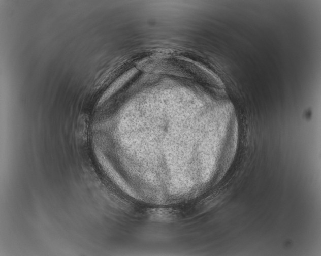X0000115610273200912011558