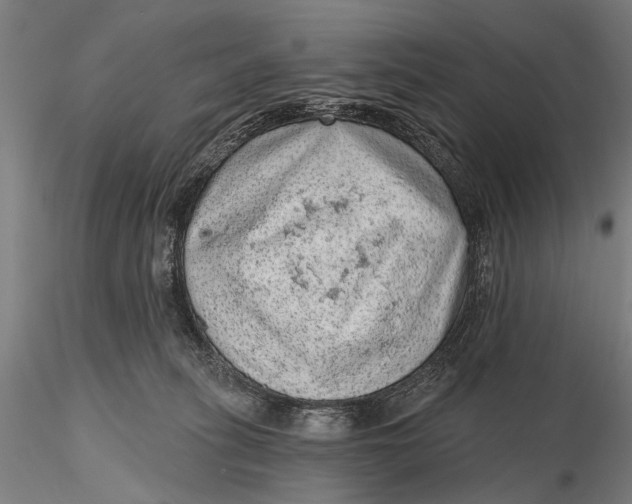 X0000115610275200912011558