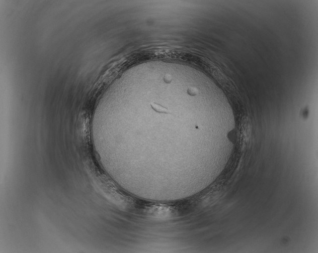X0000115610276200912011558