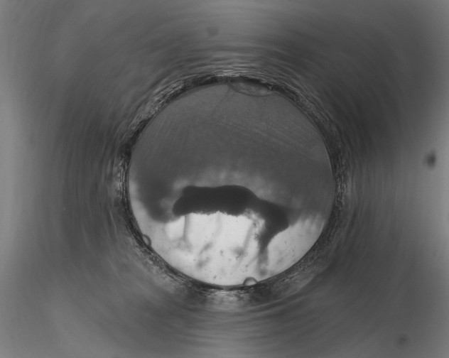 X0000115610277200912011558