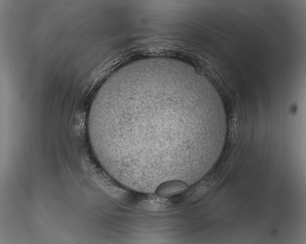 X0000115610278200912011558