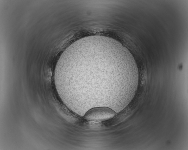 X0000115610279200912011558