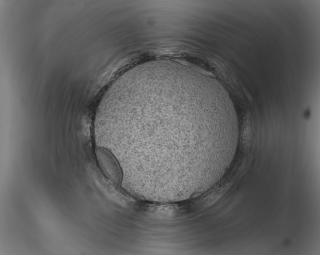 X0000115610282200912011558