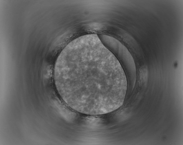 X0000115610284200912011558