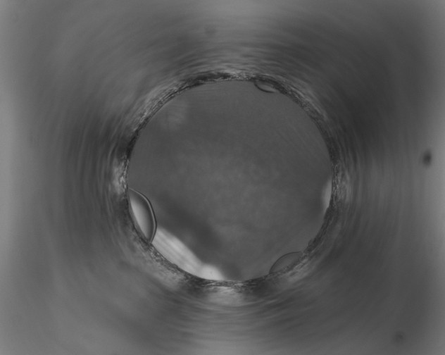 X0000115610285200912011558
