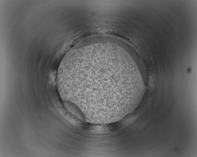 X0000115610286200912011558