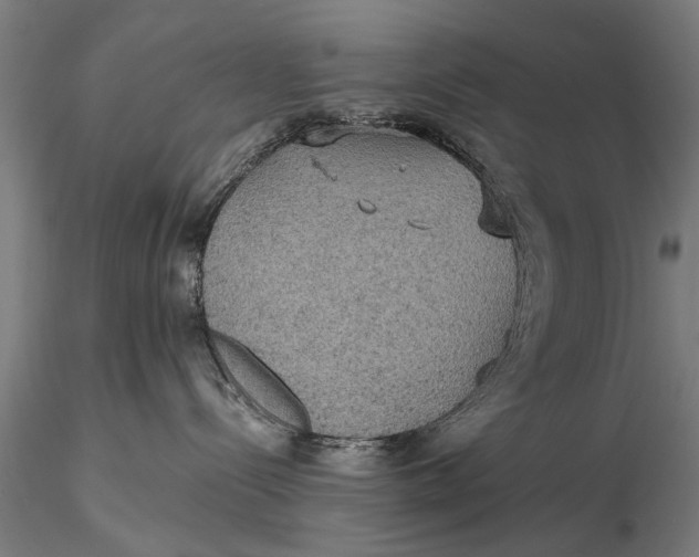 X0000115610288200912011558