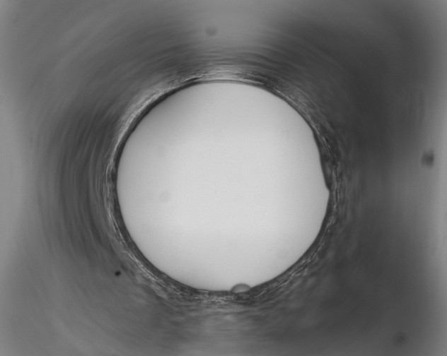 X0000115610289200912011557