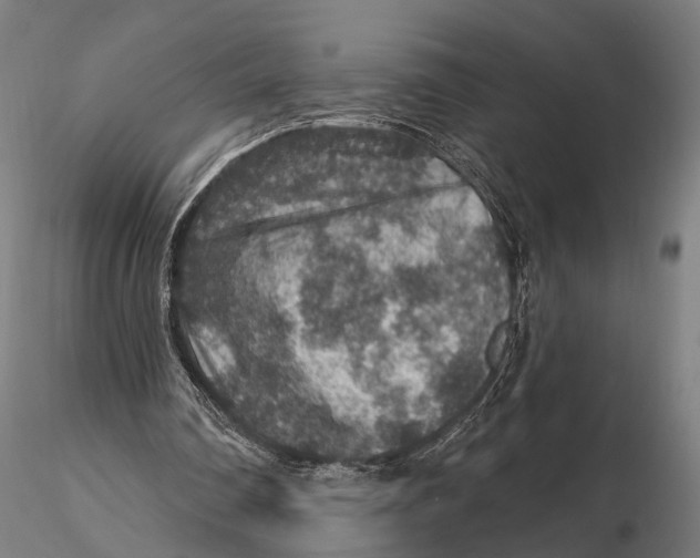 X0000115610290200912011557