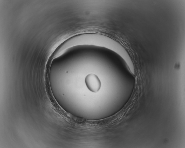 X0000115610292200912011557