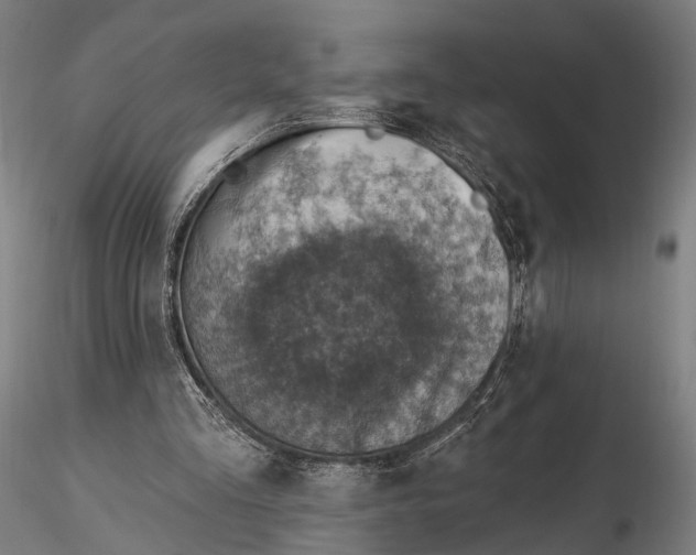 X0000115610293200912011557