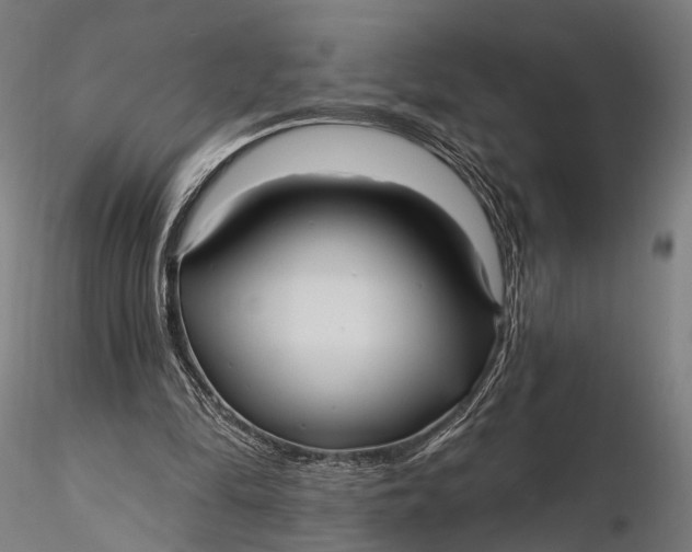X0000115610294200912011557